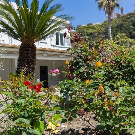 Villa Al Mare - Famiglia Calise Forio  ภายนอก รูปภาพ